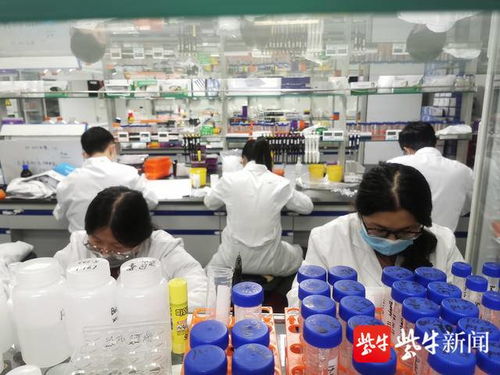 他们研制出新型冠状病毒核酸检测试剂盒,一小时可快速精准诊断