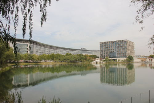 2019年河南中医药大学成教 成人教育 招生简章