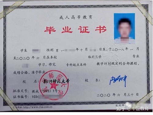 各所学校成人教育毕业证书模板样本参考
