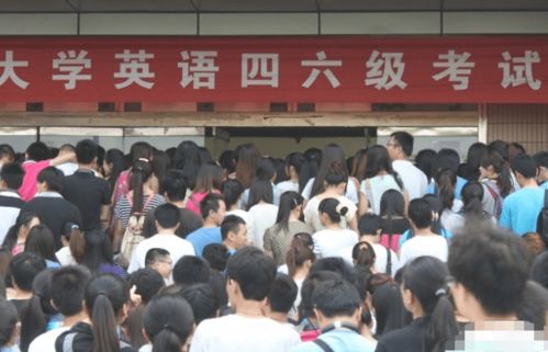 毕业生用梗图调侃虚度光阴的大学四年，像极了当初的自己——成人教育学院篇