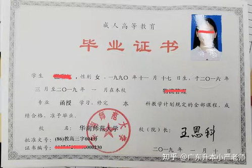 网教与成考的区别 成人教育学院的两种选择