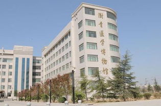 2019年郑州澍青医学高等专科学校成人教育函授在职班招生简章