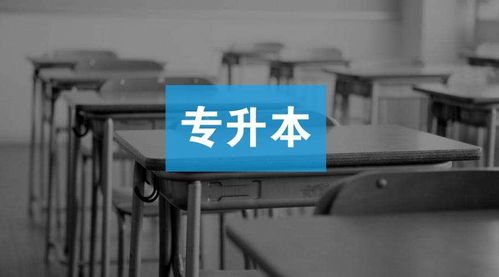 成人教育学院 这五种升本人最容易被淘汰，快来看看有你没？