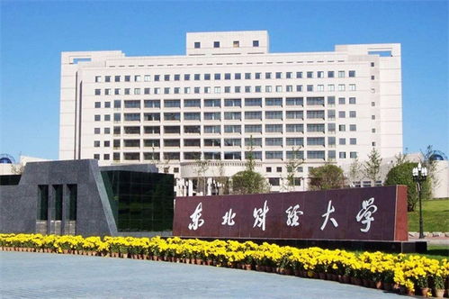 东北财经大学继续教育学院航空服务专业解析 特色、前景与就业方向